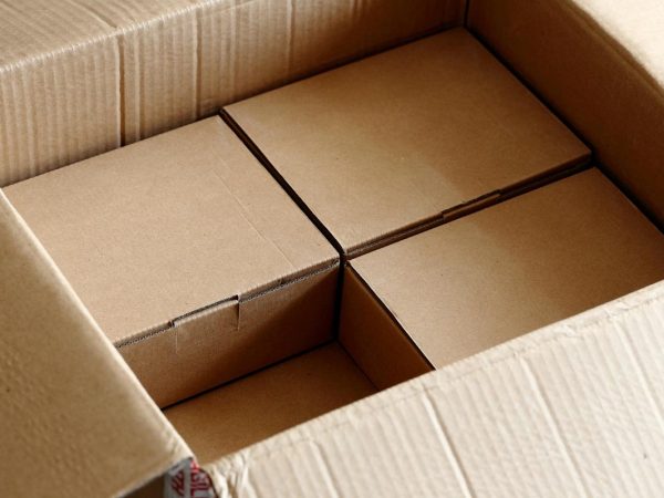 small cardboard boxes inside a big cardboard box