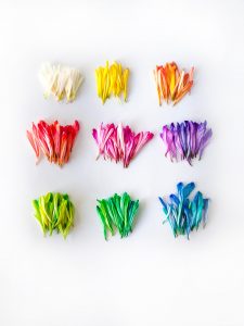 piles of bright flower petals sorted by their bright colours into piles on a white background